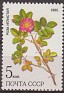 Russia 1985 Flora 5 KON Multicolor Scott 5381. Urss 1985 5381. Uploaded by susofe